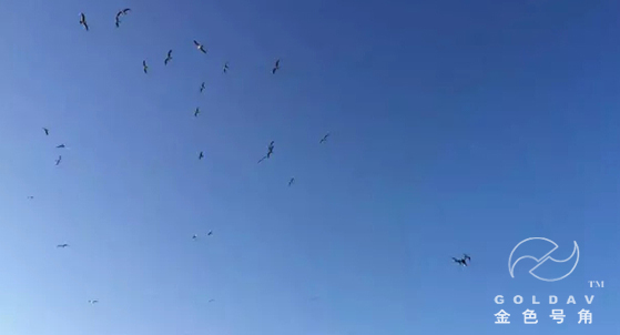 长岛宣传片拍摄花絮