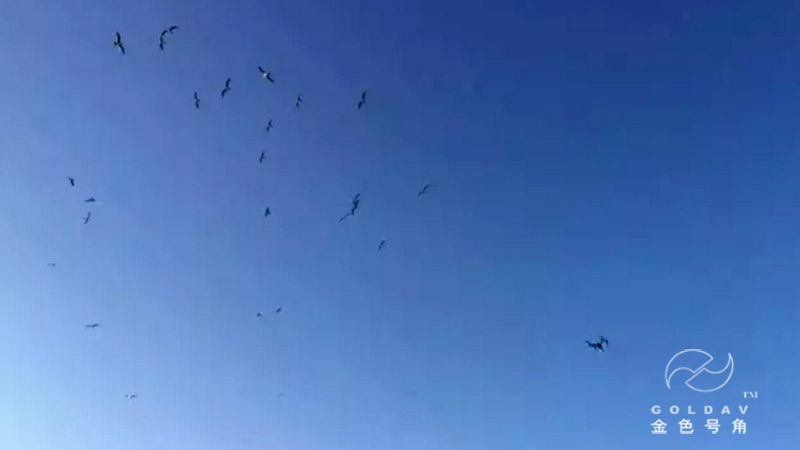 长岛城市形象片拍摄花絮