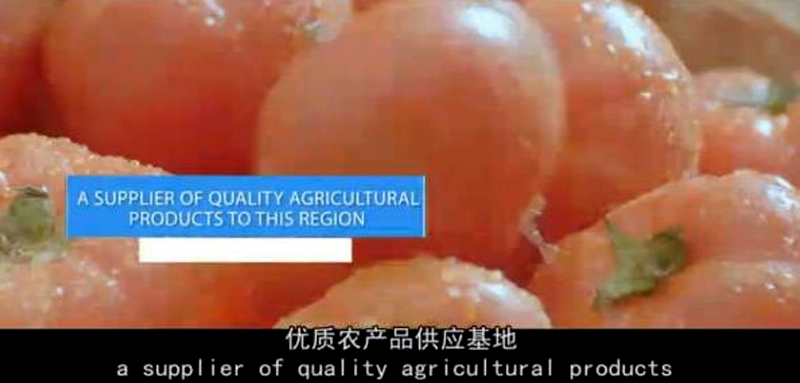 德州宣传片